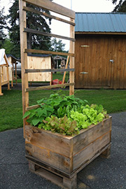 2 x 3 Planter Box/Trellis